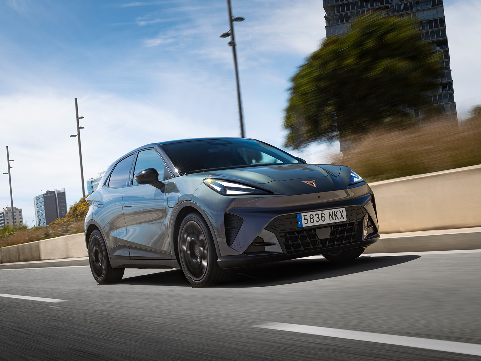 Cupra Raval Plus im Angebot 3