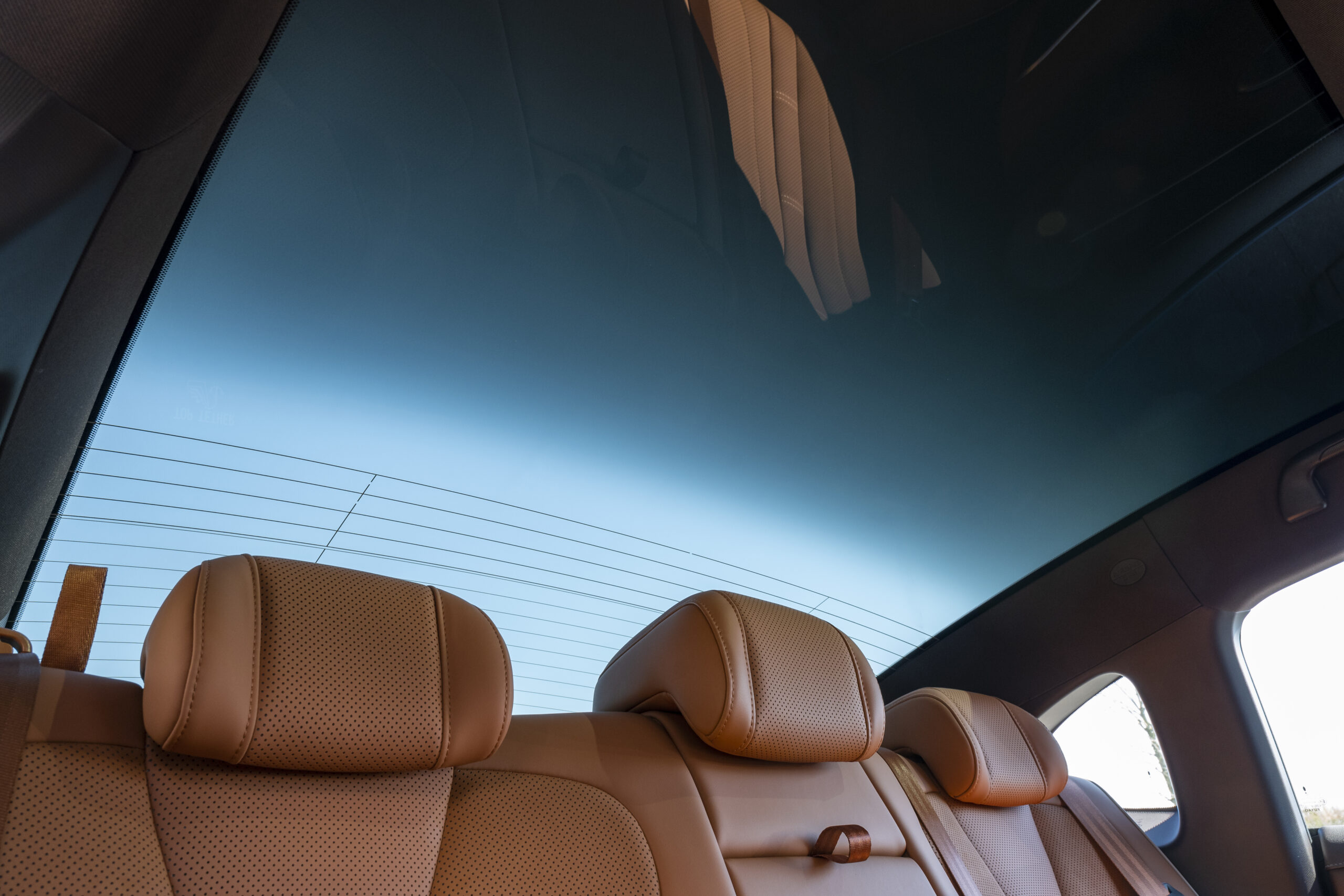 ora-lightning-cat-2023