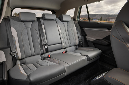 Hund im Auto transportieren Korrekter Hundetransport carwow carwow.de