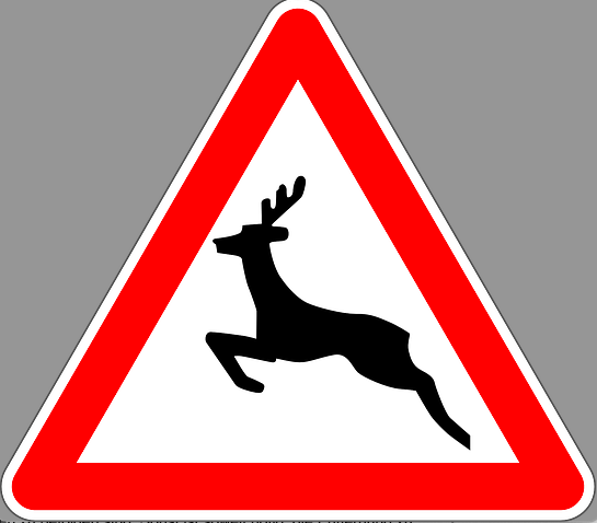 Verkehrsschild_Wildwechsel